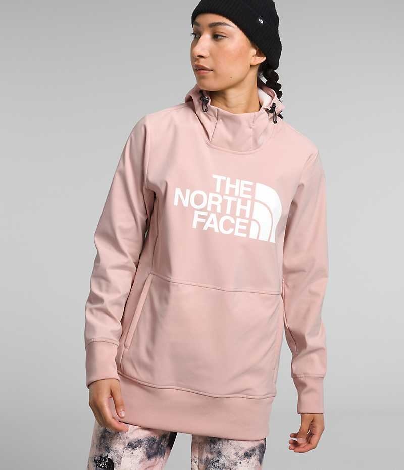 Women\'s The North Face Tekno Pullover Hoodie Pink | TORONTO MRVSWU