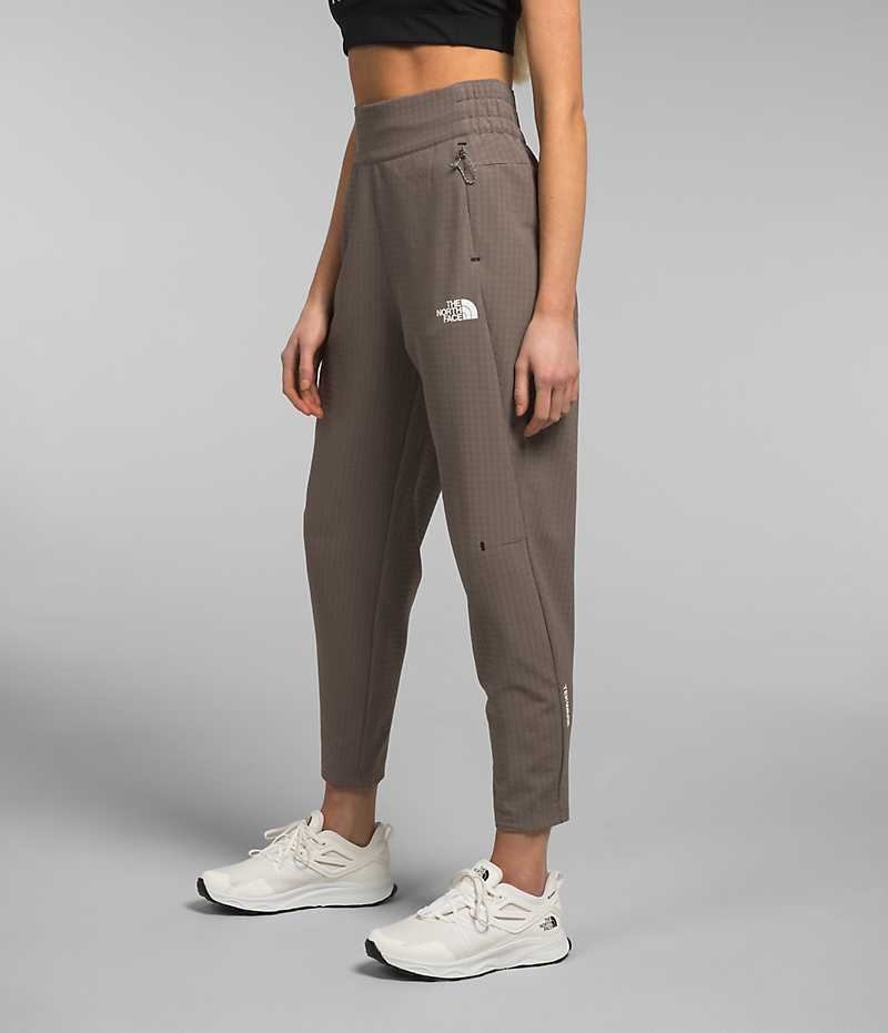 Women's The North Face Tekware™ Grid Fleece Pants Brown | TORONTO FWMUJR