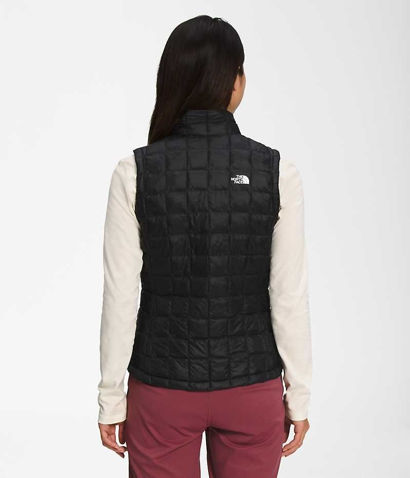 Women's The North Face ThermoBall™ Eco 2.0 Down Vest Black | TORONTO BWMCEH