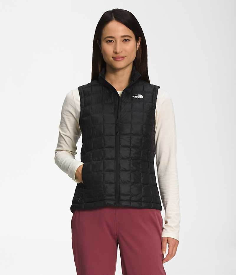 Women\'s The North Face ThermoBall™ Eco 2.0 Down Vest Black | TORONTO BWMCEH