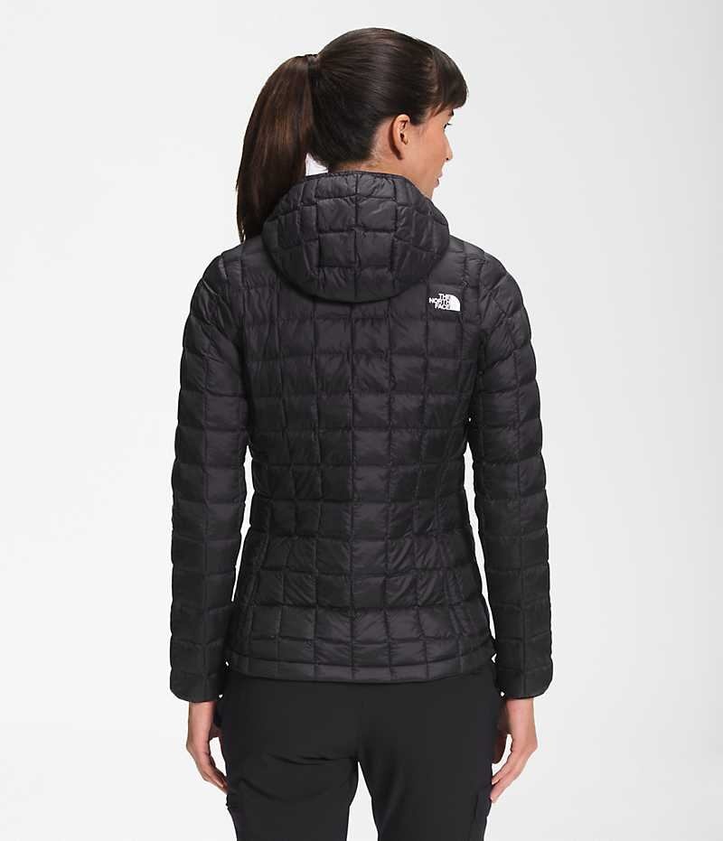 Women's The North Face ThermoBall™ Eco Hoodie 2.0 Down Jacket Black | TORONTO QMJUNX