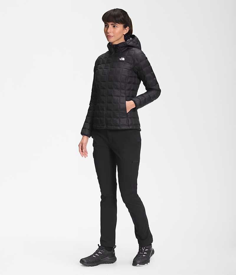 Women's The North Face ThermoBall™ Eco Hoodie 2.0 Down Jacket Black | TORONTO QMJUNX