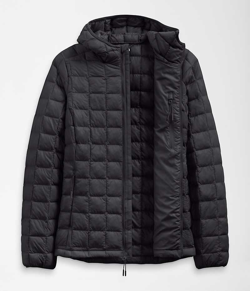 Women's The North Face ThermoBall™ Eco Hoodie 2.0 Down Jacket Black | TORONTO QMJUNX