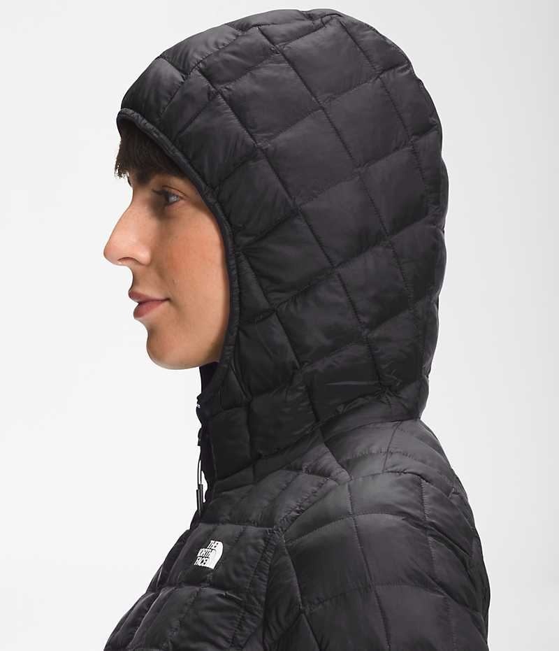 Women's The North Face ThermoBall™ Eco Hoodie 2.0 Down Jacket Black | TORONTO QMJUNX