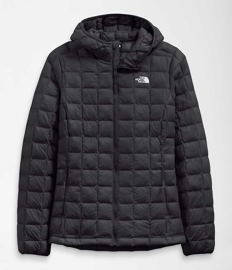 Women's The North Face ThermoBall™ Eco Hoodie 2.0 Down Jacket Black | TORONTO QMJUNX