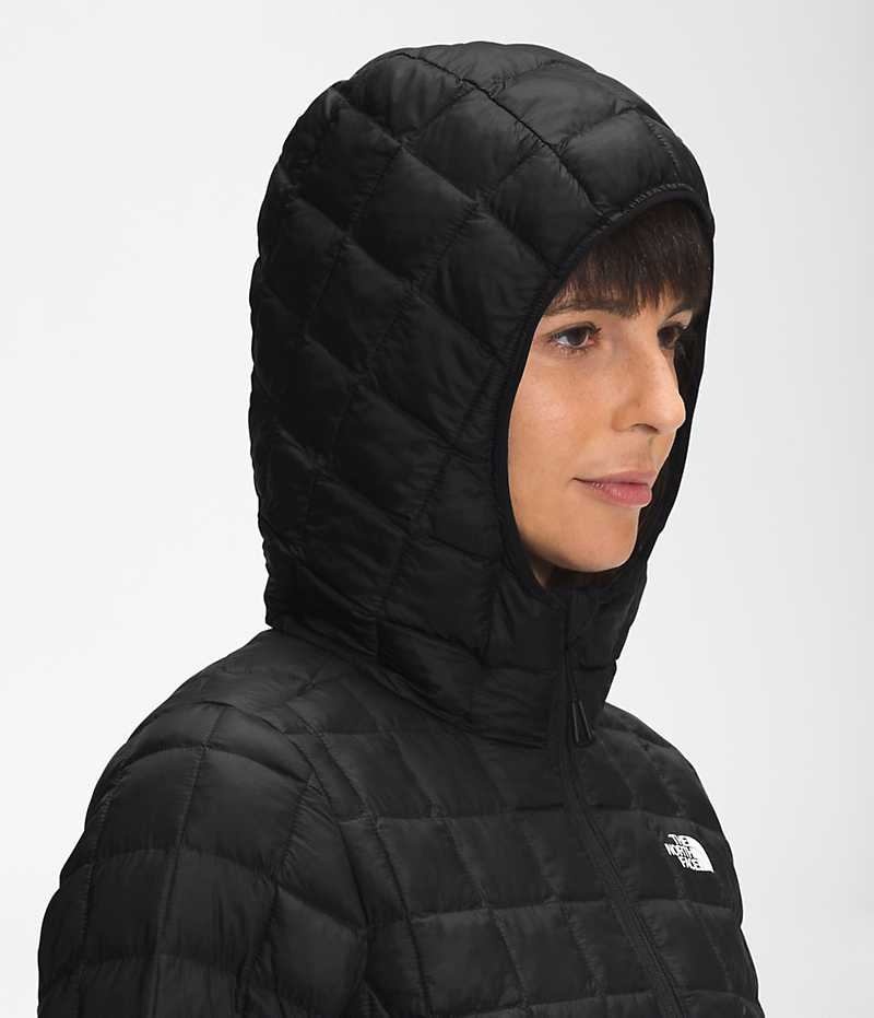 Women's The North Face ThermoBall™ Eco Parka Black | OTTAWA MFHEIQ