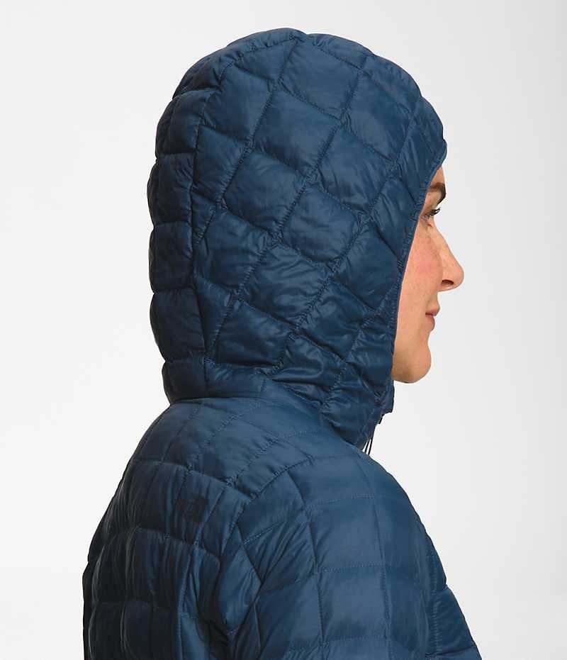 Women's The North Face ThermoBall™ Eco Parka Blue | CANADA QJVPNG