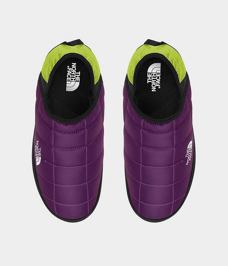 Women's The North Face ThermoBall™ Traction V Mules Purple | CANADA WBMEQO